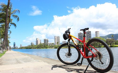 レンタサイクルやヨガなど、ハワイのおすすめ朝活4選。早起きしてハワイの魅力を発見！