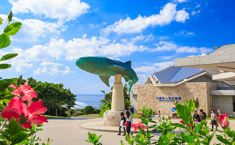 写真提供：国営沖縄記念公園（海洋博公園）：沖縄美ら海水族館