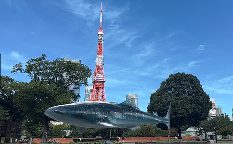 東京タワーとARジンベエザメ