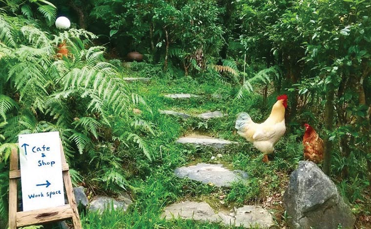 細い未舗装の道の先にある、憩いのカフェ「藍風」。平飼いの鶏が庭を歩いていることも。<br />
（写真提供：藍風）