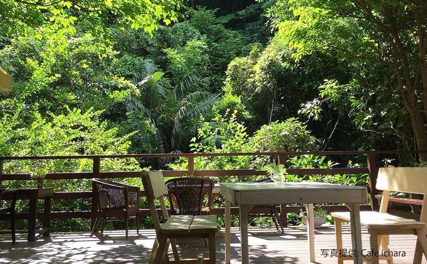 スタッフおすすめ！沖縄・本部半島、癒しの森カフェ6選！緑豊かな森へドライブ