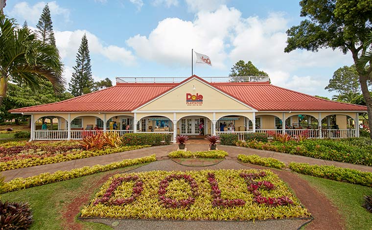 写真提供：ドールプランテーション