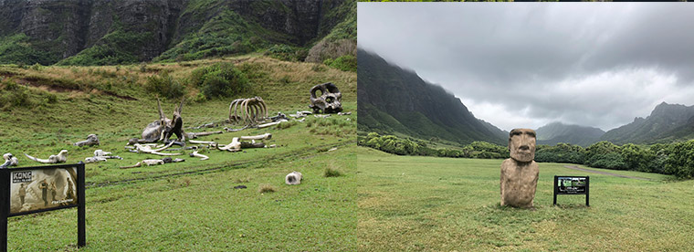 左）「キングコング:髑髏島の巨神」の撮影地　右）「ナショナル ジオグラフィック Live!」の撮影地