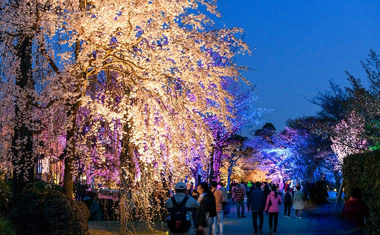 写真提供：元離宮二条城事務所