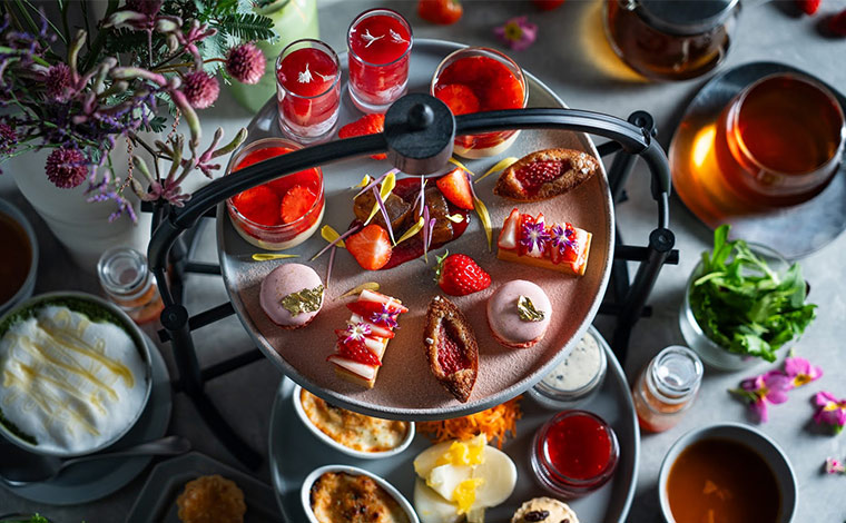 写真提供：CHAVATY