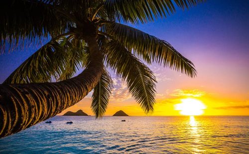 言葉に宿るハワイの心－もっと知りたい！美しいハワイ語