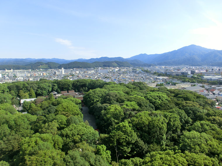 写真提供：下鴨神社
