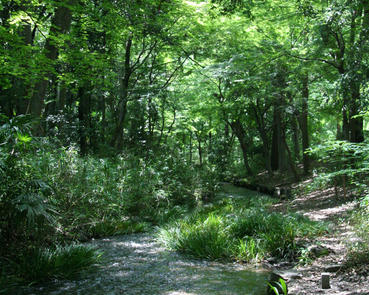 写真提供：下鴨神社