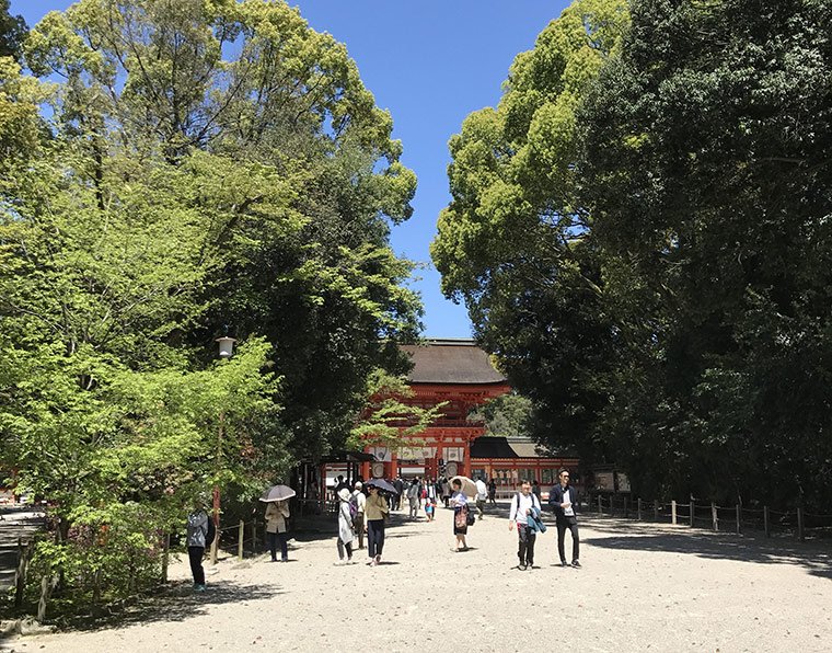写真提供：下鴨神社