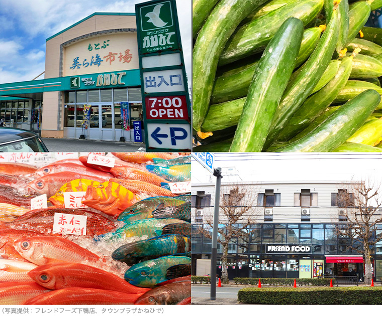 タウンプラザかねひでとフレンドフーズ下鴨店の外観写真と沖縄で獲れる魚や今日野菜の写真